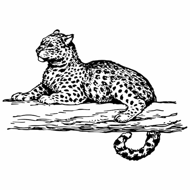 Vector leopardo en una rama