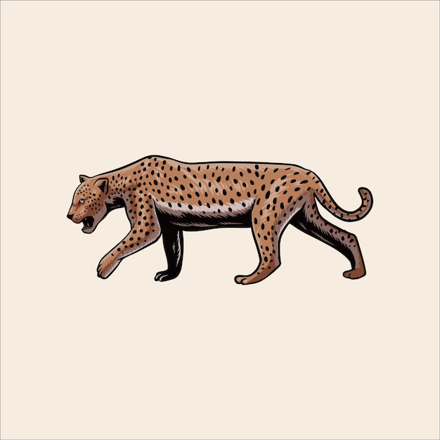 Vector leopardo