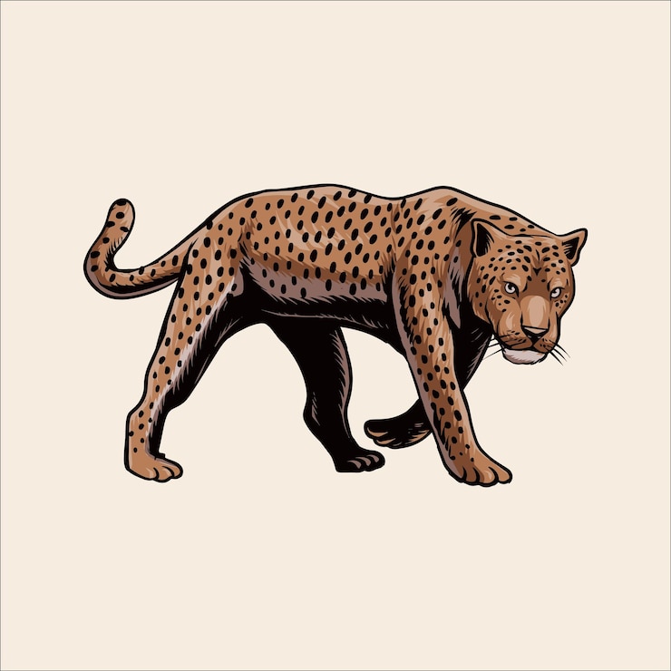 Vector el leopardo