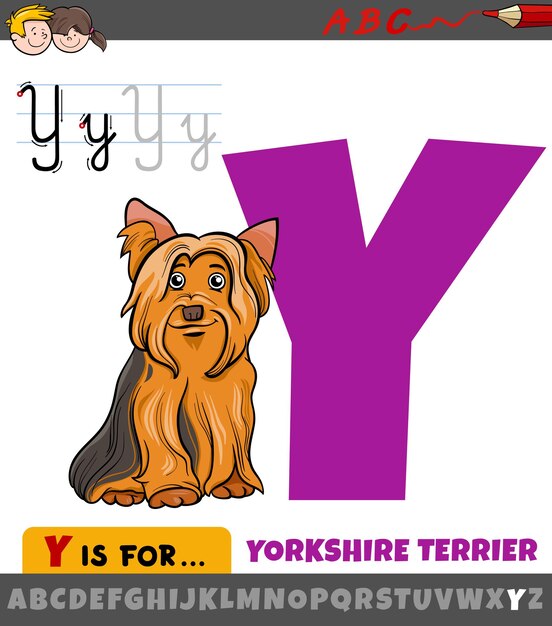 Letra Y del alfabeto con dibujos animados Yorkshire terrier