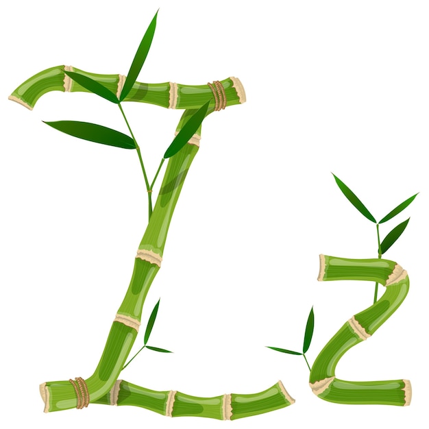 Letra de bambú Z con brotes jóvenes con hojas, fuente de vector eco