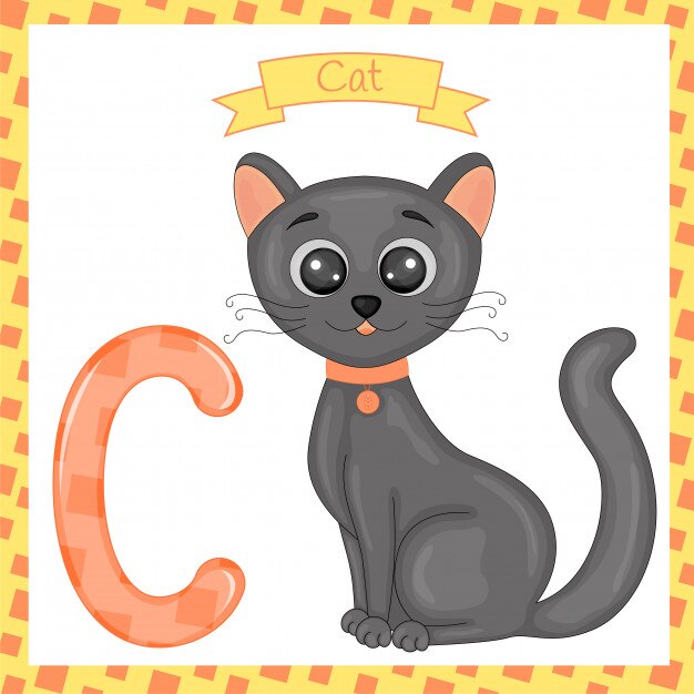 Vector letra c y cat. alfabeto inglés con animales. personajes de dibujos animados aislados en el fondo blanco.