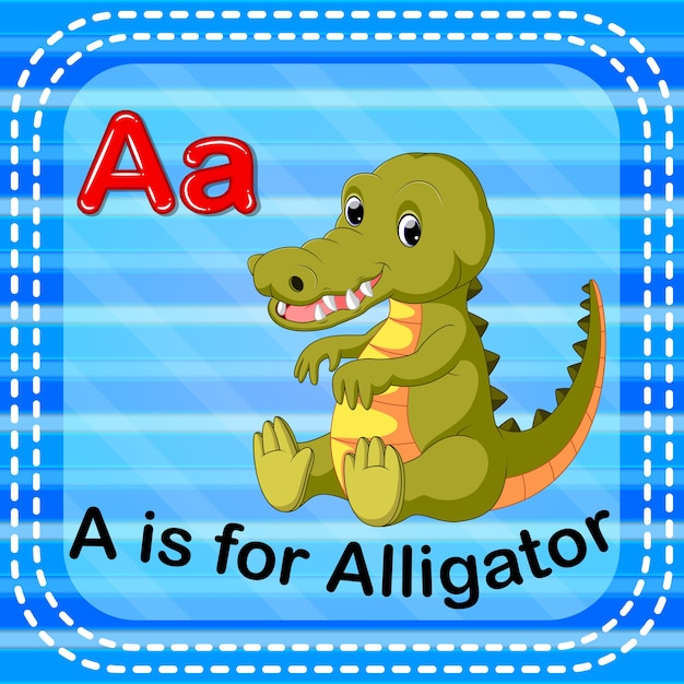 La letra A de la Flashcard es para Alligator