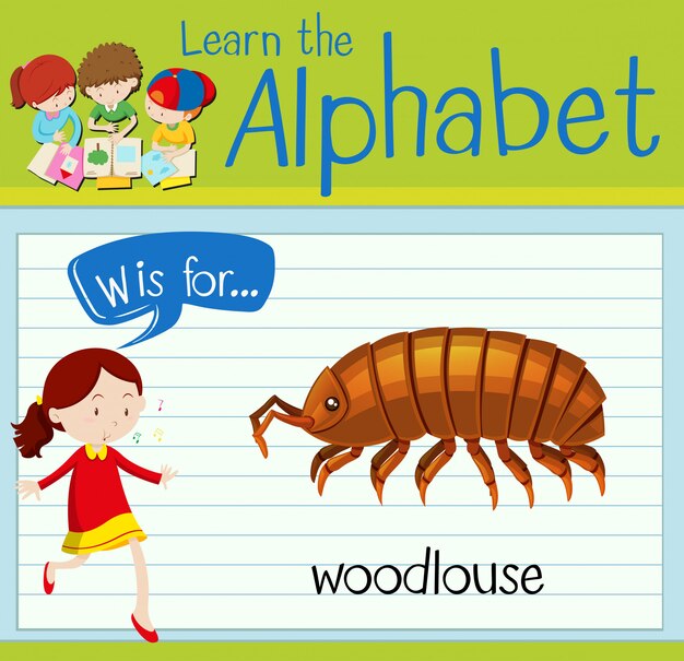 La letra de la flashcard w es para woodlouse