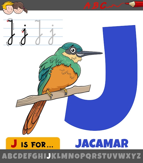 Letra j del alfabeto con carácter animal de pájaro jacamar de dibujos animados