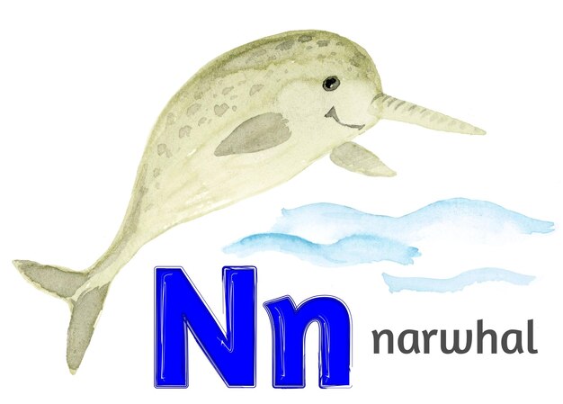 La letra N del alfabeto inglés con la imagen de un narval en acuarela sobre un fondo blanco