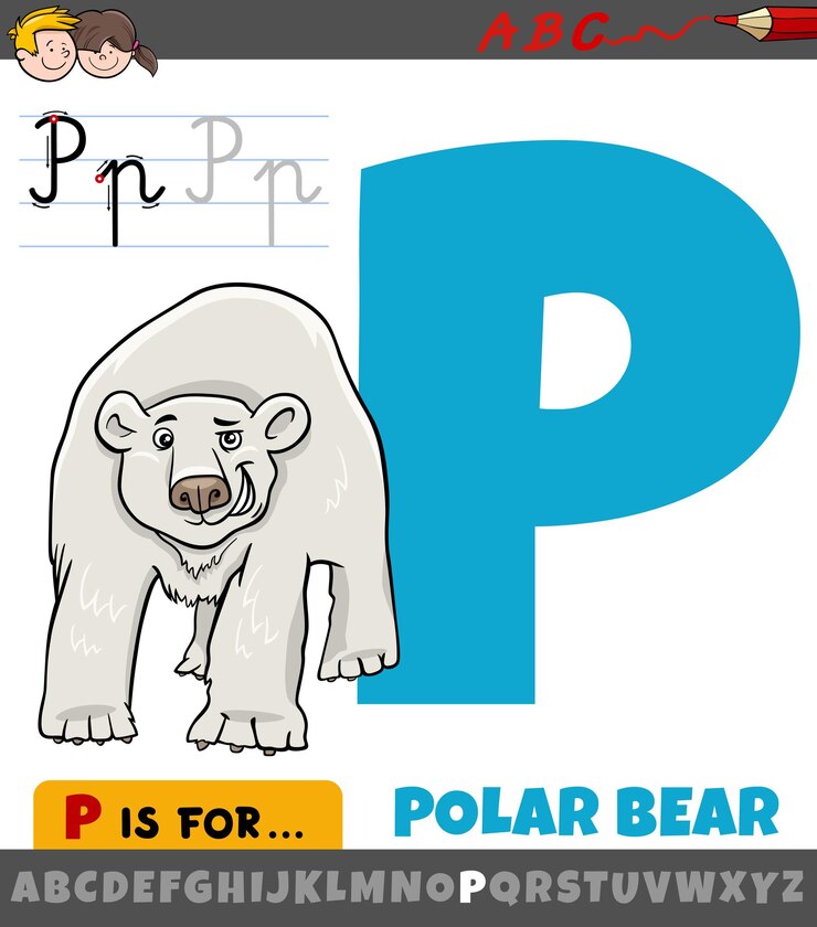 Vector letra p del alfabeto con carácter animal de oso polar de dibujos animados