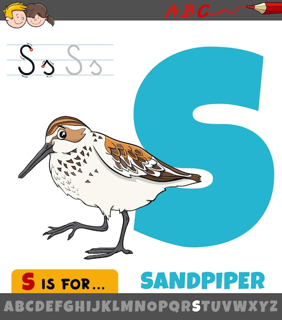 La letra s del alfabeto con el personaje de animal pájaro lavandera de dibujos animados