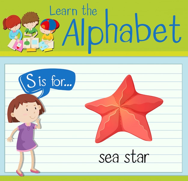 La letra S de la Flashcard es para la estrella de mar