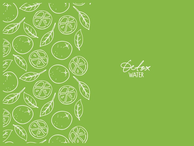Letras de agua de desintoxicación sobre fondo verde y frutas cítricas con borde de boceto de hojas Vector
