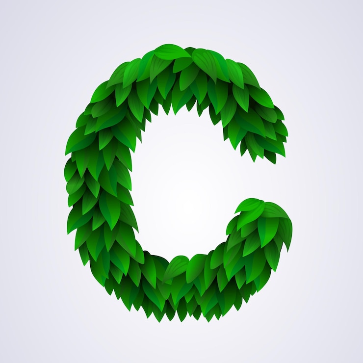 Vector letras del alfabeto hechas de hojas verdes frescas letra c