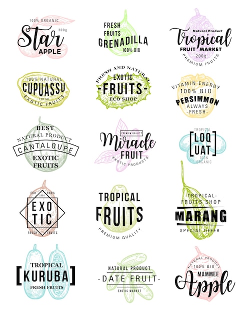 Vector letras de bosquejo de vector de mercado de granja de frutas exóticas