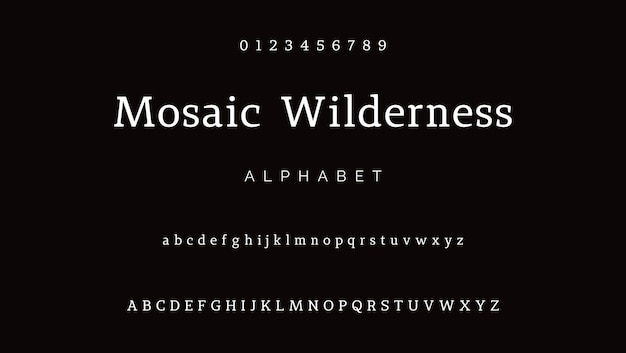 Letras clásicas Diseños de moda minimalistas Tipografía modernas fuentes serif decorativas regulares vintage