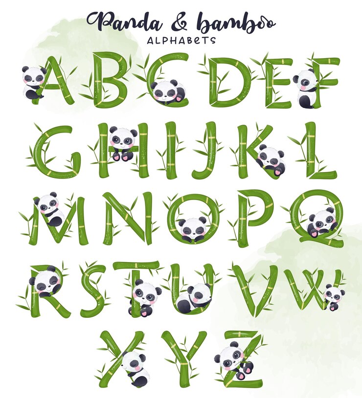 Vector letras decorativas bambú y panda