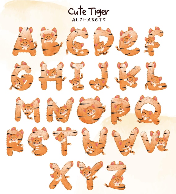 Letras decorativas de tigre bebé
