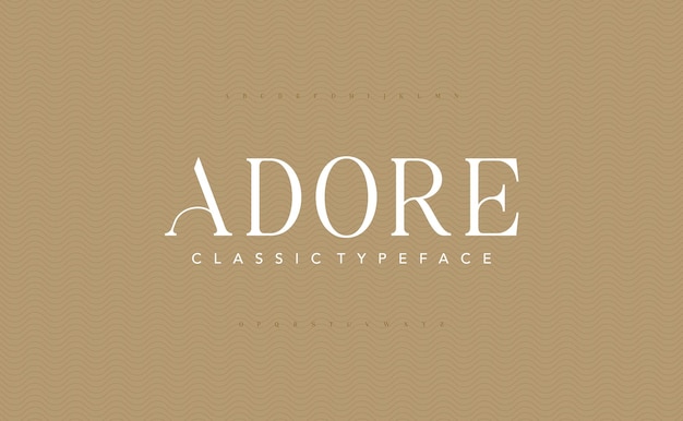 Letras de moda minimalista. Elegante fuente y número de letras del alfabeto serif. vector de tipografía