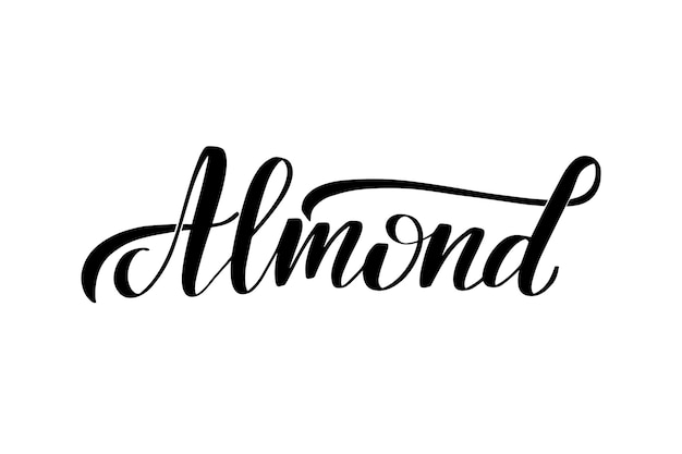 Letras de pincel manuscritas inspiradoras Ilustración de caligrafía vectorial