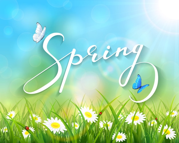 Letras de primavera con fondo natural soleado, mariposas volando sobre la hierba con mariquitas y flores, ilustración.