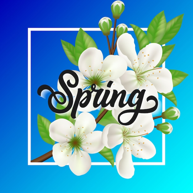 Vector letras de primavera con rama floreciente en marco sobre fondo azul.