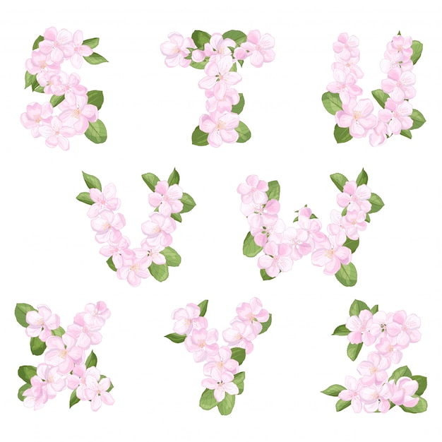 Letras sz del alfabeto inglés de flor de manzana