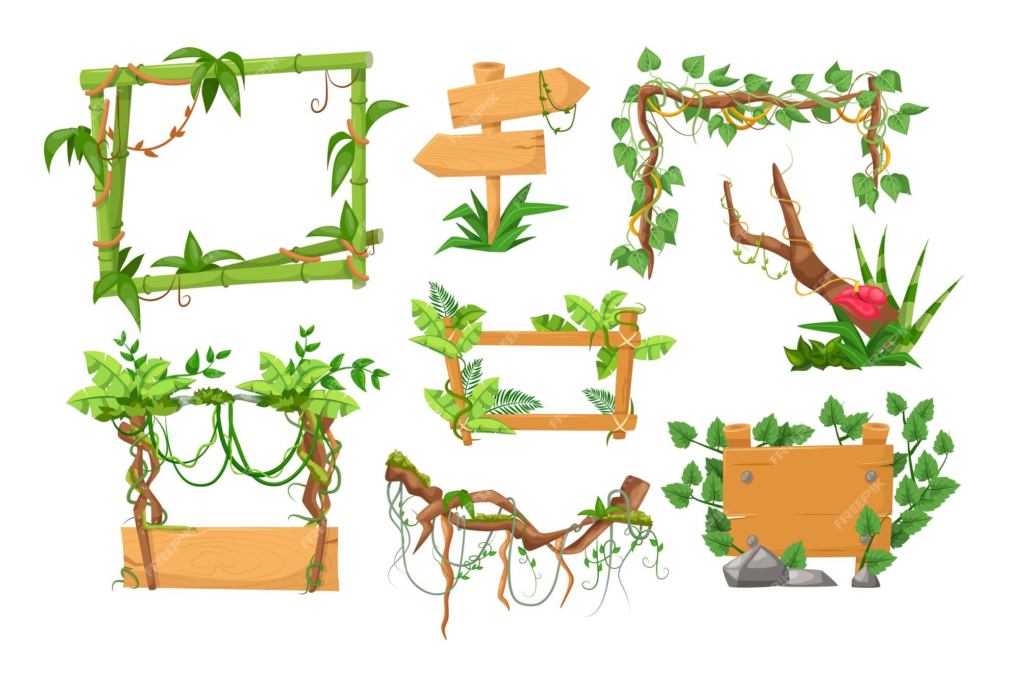 Nosotros mismos canta Cuña Letreros de madera con ramas de liana tropical enmarcan tableros de madera  con plantas de liana de la selva | Vector Premium