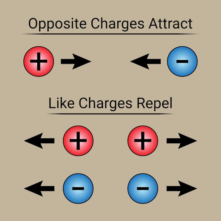 Vector la ley de la atracción y repulsión electrostática