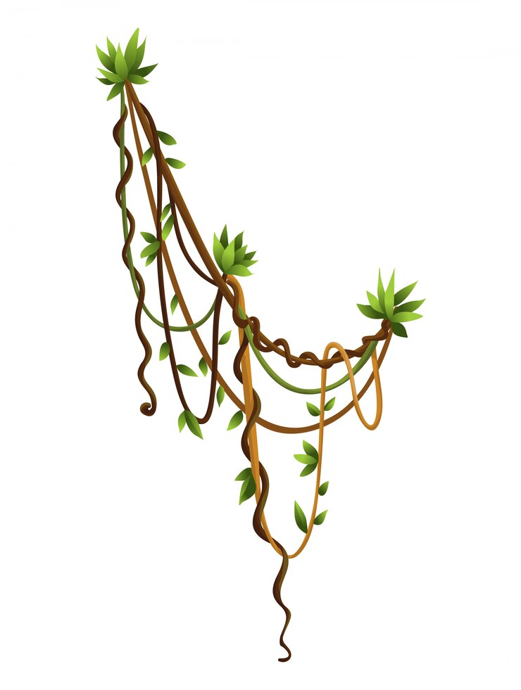 Vector liana o ramas sinuosas de vid salvaje de la jungla