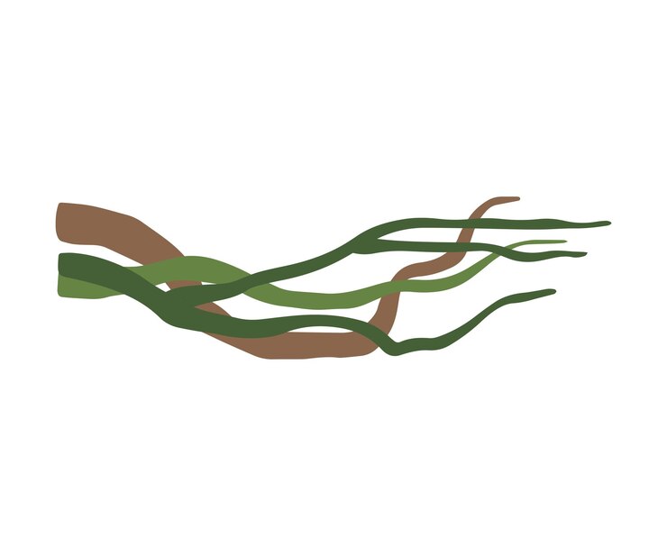 Vector lianas sinuosas ramas de vides tropicales plantas de la selva elemento decorativo floras de la selva ilustración vectorial en fondo blanco