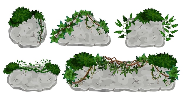 Vector lianas tropicales que cubren tablas de piedra conjunto de ilustraciones aisladas