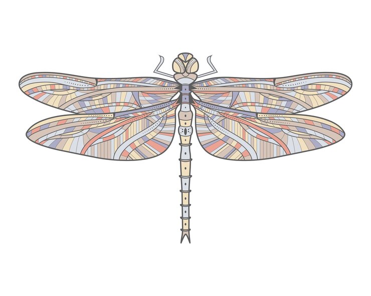Vector libélula colorida. insecto aislado. papel pintado de la naturaleza. libélula de línea plana con estilo. para tarjeta, invitación, impresión, camiseta, volante, logotipo, afiche, etiqueta, tienda. ilustración de error vectorial. diseño de libélula.