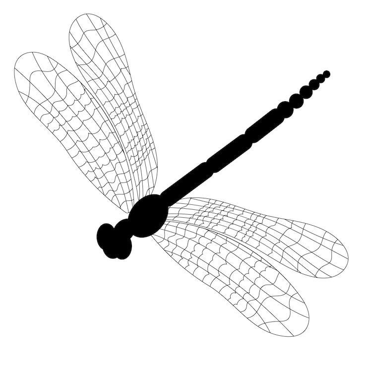 Vector libélula, doodle, insecto, vector, aislado