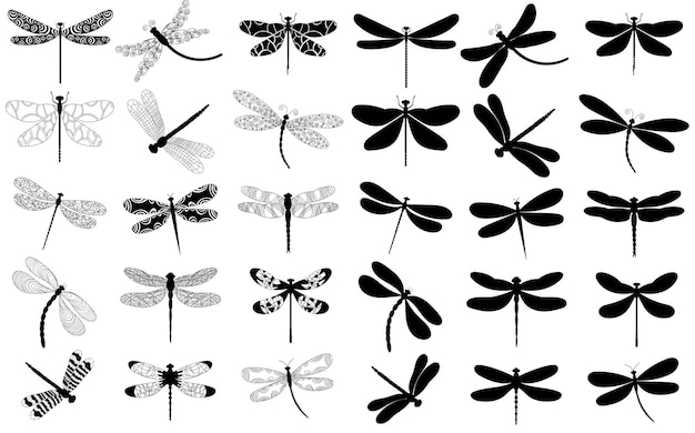 Libélula establecer silueta sobre fondo blanco, vector