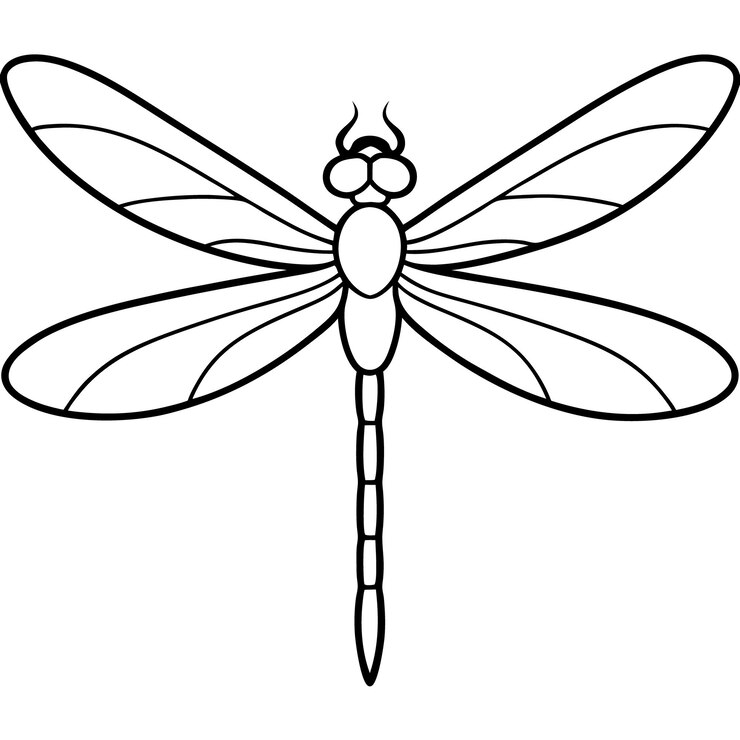 Vector una libélula con una libélula en la parte delantera