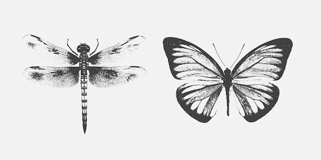 Libélula y mariposa para el diseño de collage grunge punk Y2K con efecto de punto de medio tono