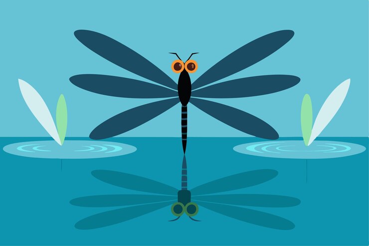 Vector una libélula con un reflejo de una libélola en el agua
