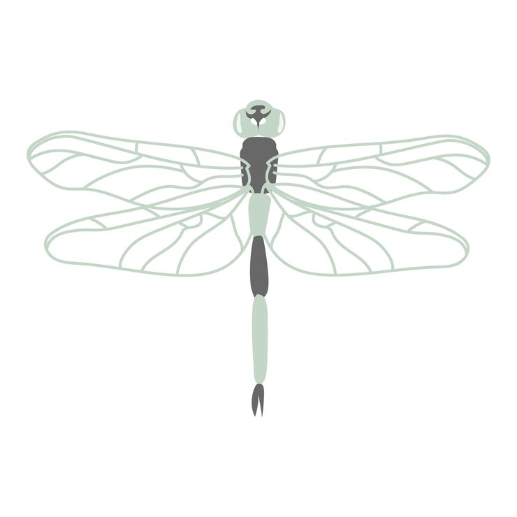Vector libélula verde en estilo garabato insectos lindos ilustración dibujada a mano aislado sobre fondo blanco