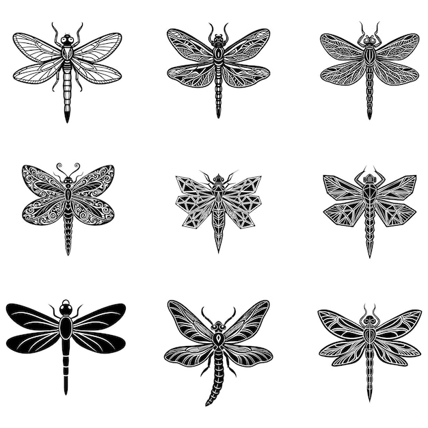 Libélula