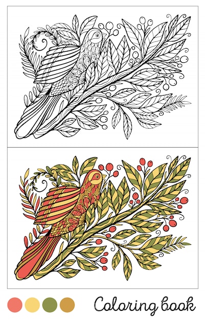 Libro para colorear de aves. Ilustración vectorial