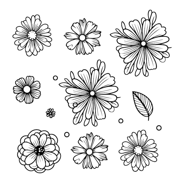 Libro de colorear de caléndula y flores