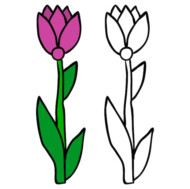 Vector libro para colorear flores aisladas