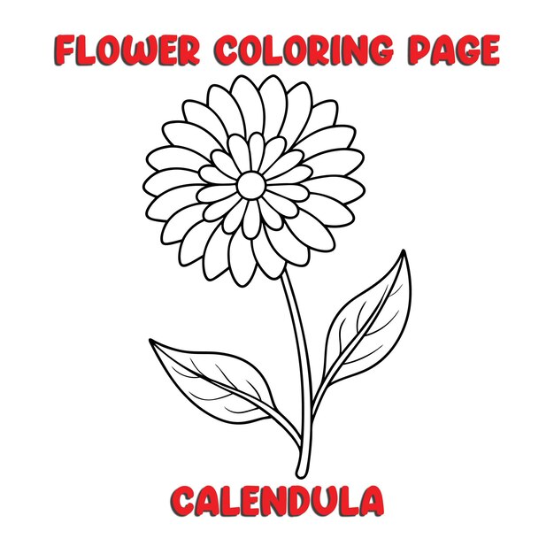 Libro para colorear flores de CALENDULA para niños