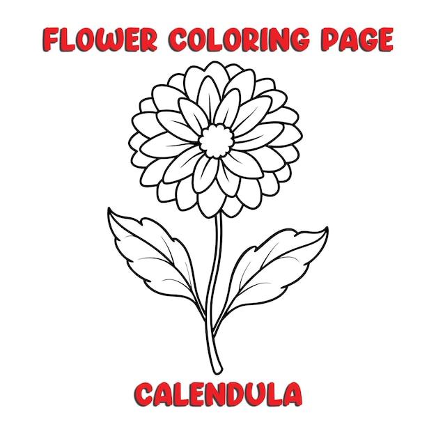 Libro para colorear flores de CALENDULA para niños