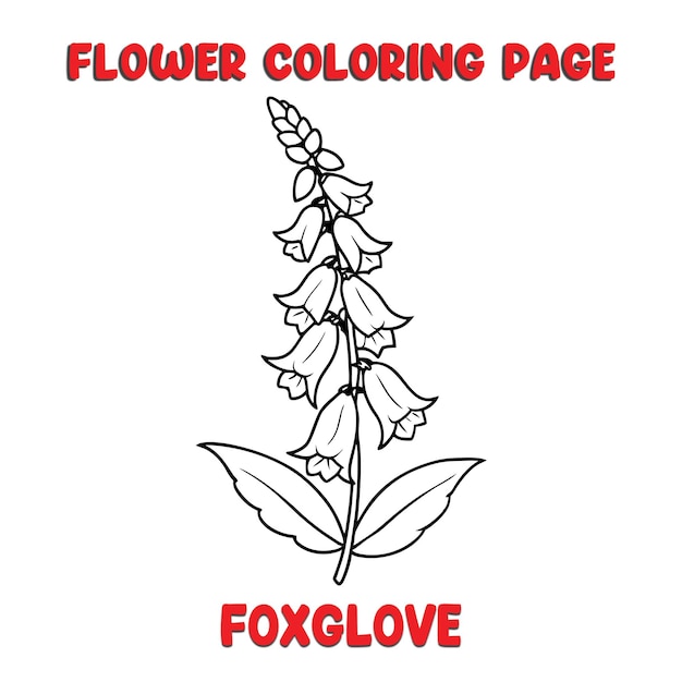 Libro para colorear flores FOXGLOVE para niños