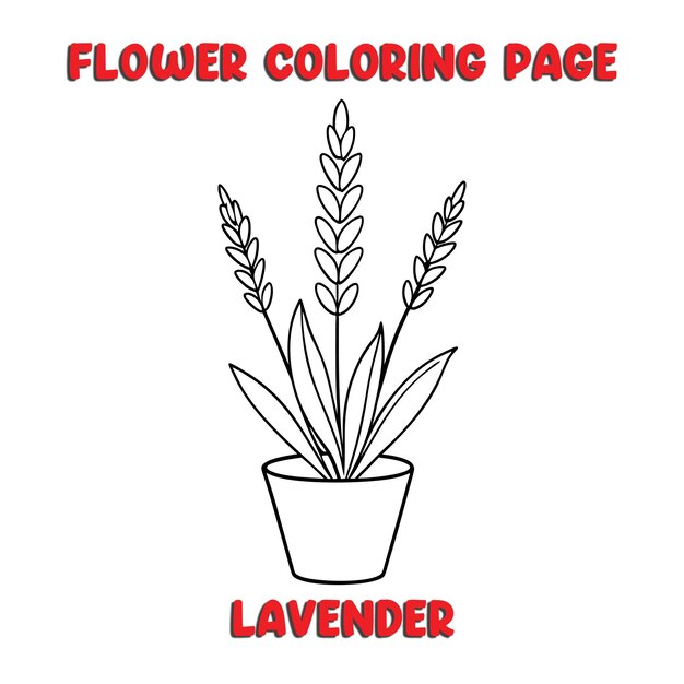 Libro para colorear flores de lavanda para niños