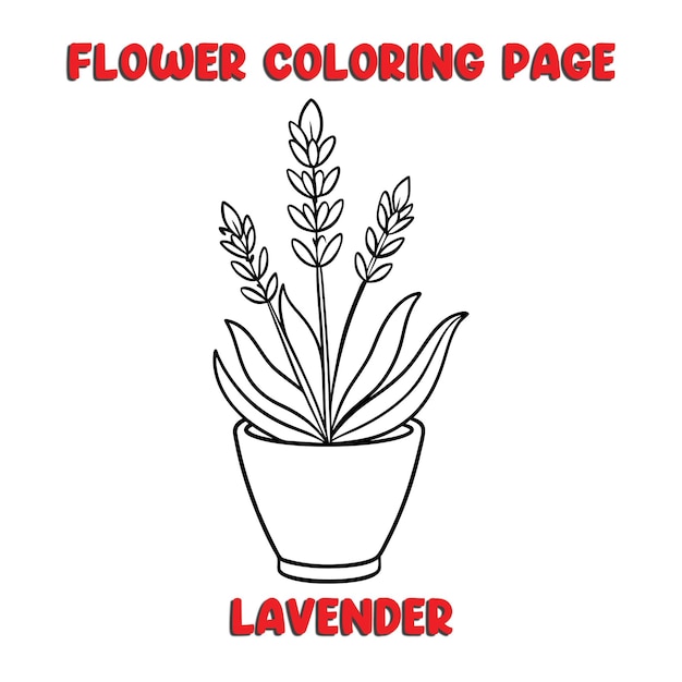 Libro para colorear flores de lavanda para niños