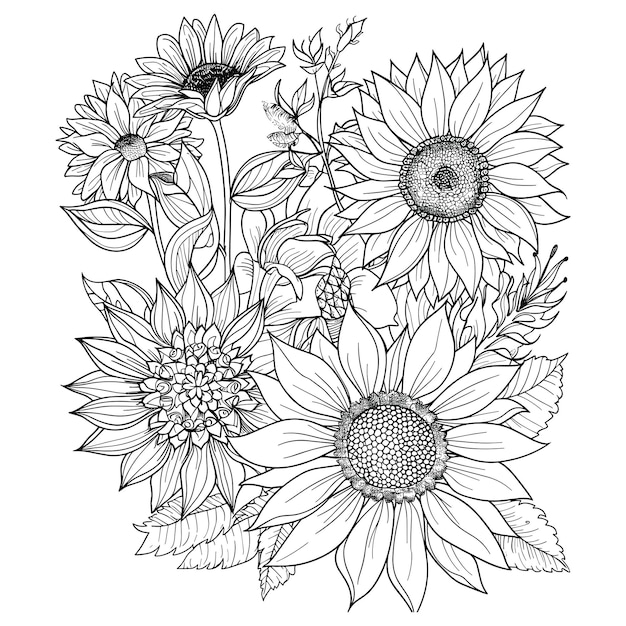 libro de colorear flores