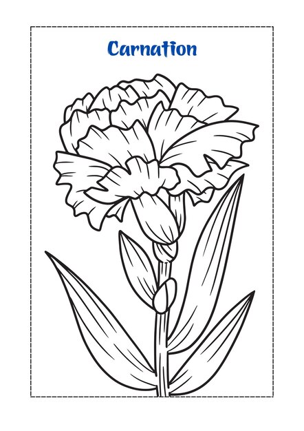 libro para colorear de flores