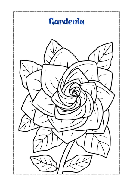 libro para colorear de flores