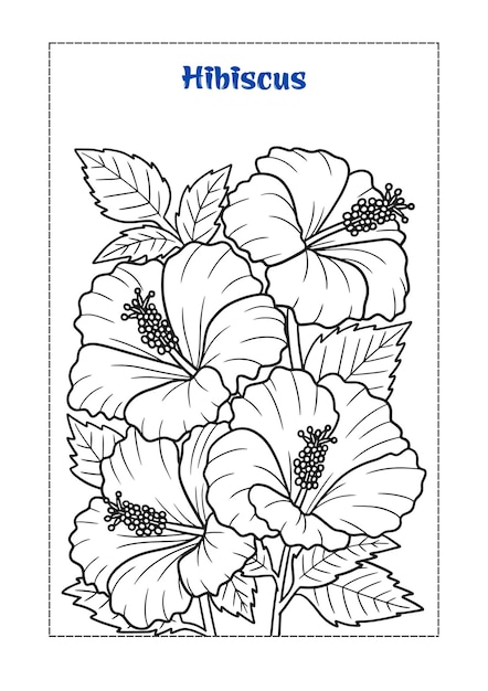 libro para colorear de flores