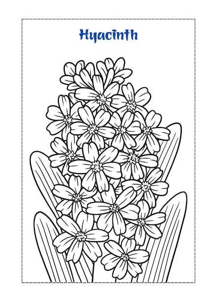 libro para colorear de flores